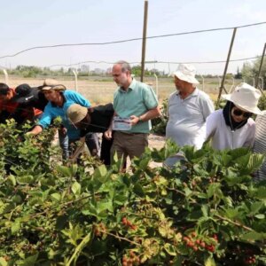 nohude jumbo bogurtlen hasadi basladi MfBsAwxm