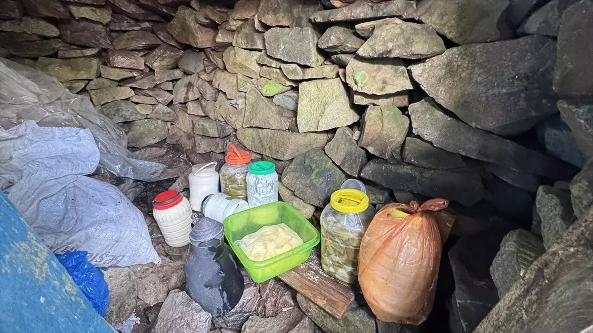 artvindeki dogal buzhaneler k3h9MSHp