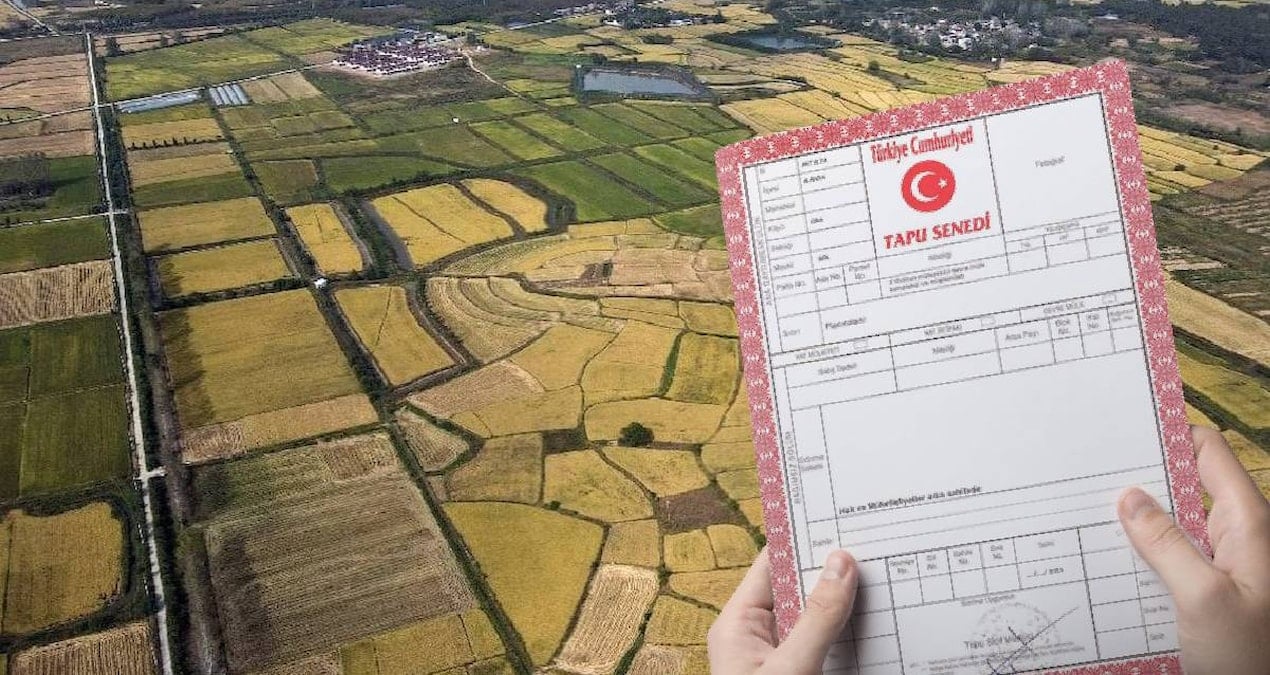 13 bin lirasi olan tapu sahibi olacak milli emlaktan dev arsa firsati yA15XyG1.jpg