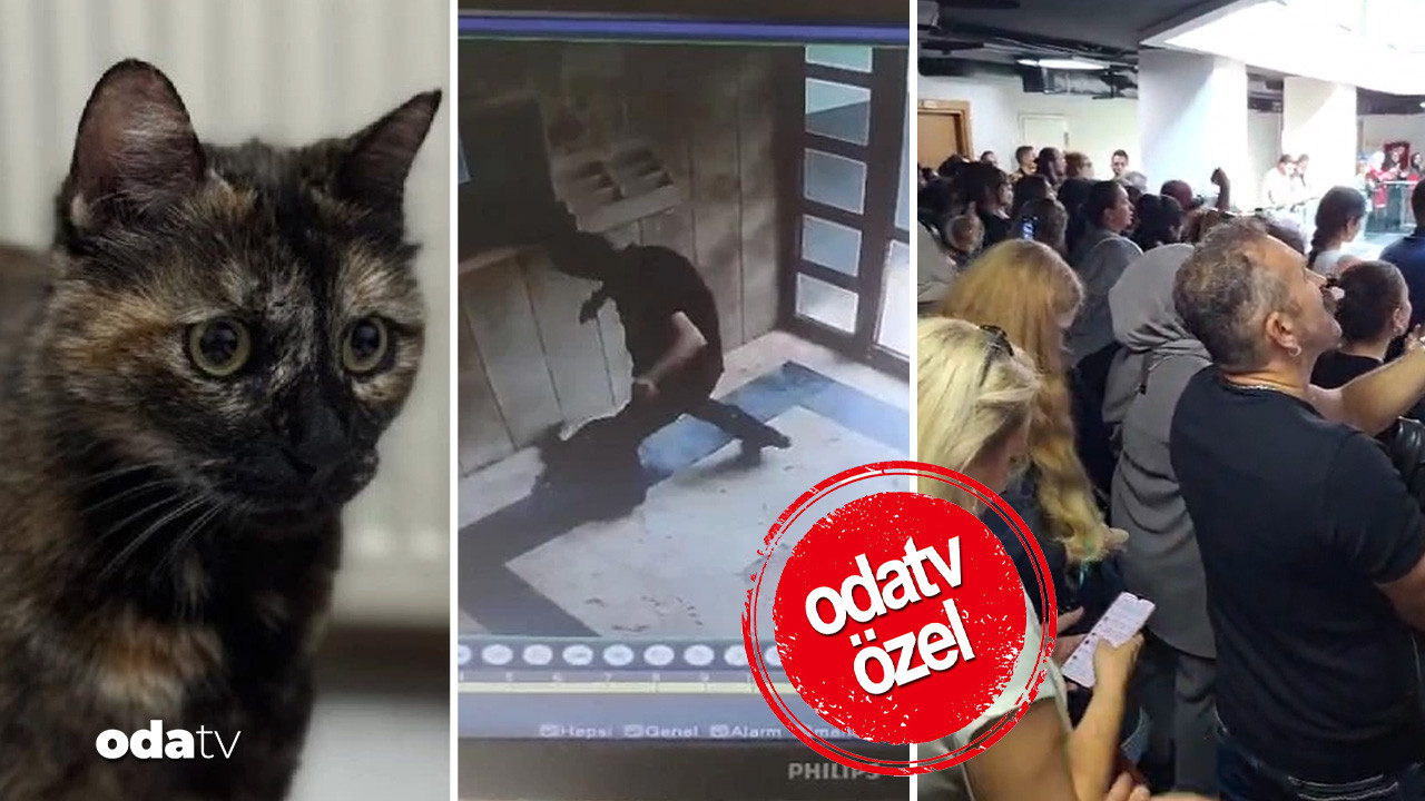 mahkemeye akin ettiler cezve icin adalet LAFpxCpD