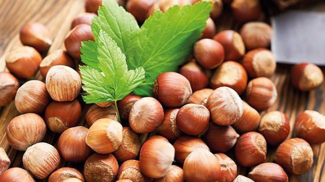 ferrero iddiasi tartisma yaratti findigi yeriz bu numarayi yemeyiz ZHiHIK7n.jpg