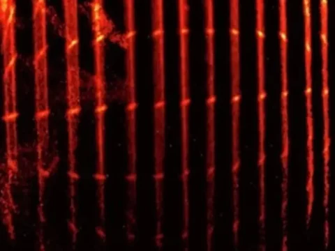 Işık hızı ilk kez fotoğraflandı. 100 yıllık teori kanıtlandı