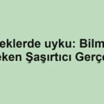 Bebeklerde uyku: Bilmeniz Gereken Şaşırtıcı Gerçekler
