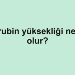 Bilirubin yüksekliği neden olur?